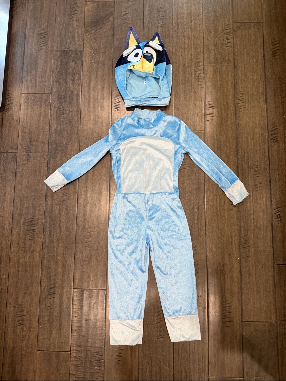 New Bluey Halloween Costume for Kids (Medium)